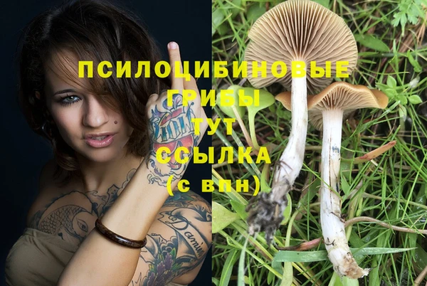 каннабис Касимов