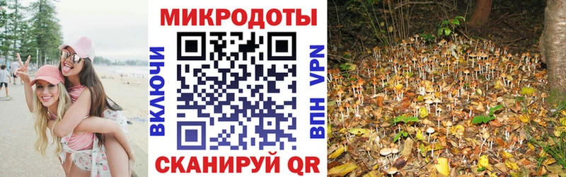 Купить  Новоржев  Псилоцибиновые грибы ЛСД 